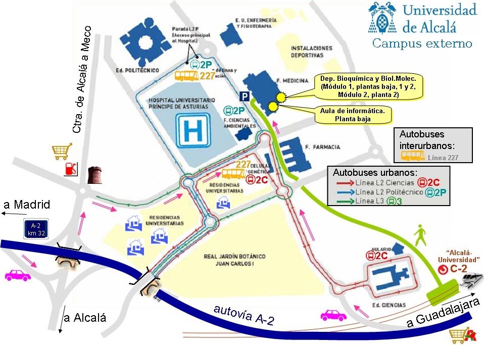plano del campus