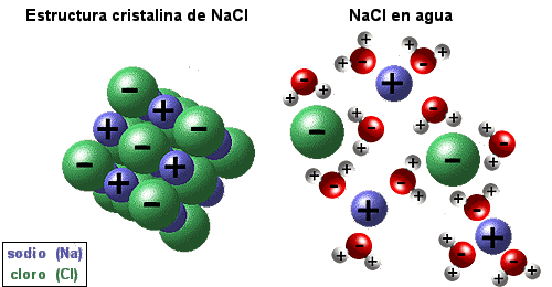 AnCl in crystal structure and in water