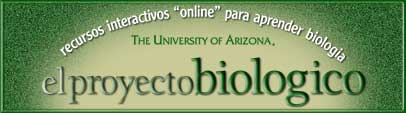 EPB en Univ. de Arizona (en espaol)