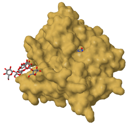 estructura de la proteína