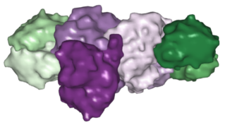 modelo de la nitrogenasa completa, con superficies coloreadas