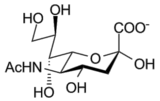 estructura del ácido siálico