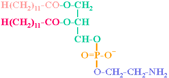 fórmula de dilauroilfosfatidiletanolamina