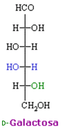 fórmula estructural de la D-galactosa