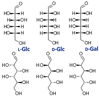 fórmulas estructurales con cuñas y en zig-zag para L- y D-glucosa y D-galactosa