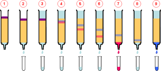 cromatografía en columna
