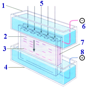 esquema de cubeta de electroforesis vertical