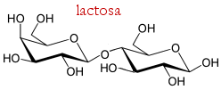 lactosa