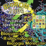 BioROM 2006