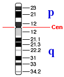 Idiograma del cromosoma 9