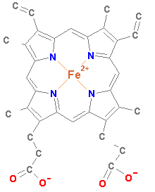 formula of heme