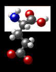 molecular formula for glutamic acid (hydrophilic-charged)
