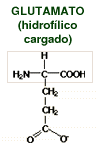 structural formula for glutamic acid (hydrophilic-charged)