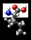 molecular formula for isoleucine (hydrophobic)