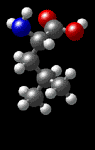 Molecular structure of leucine C6H13NO2 
