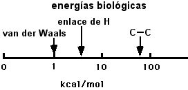 Illustration of biological energies in Kcal/mol