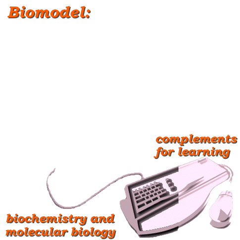 Biomodel: complements for learning biochemistry and molecular biology (front page image)