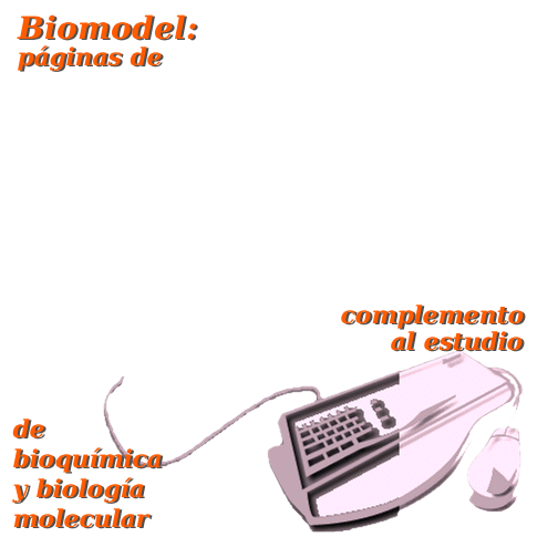 Biomodel: páginas de complemento al estudio de bioquímica y biología molecular (imagen de portada)