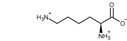 fórmula estructural de lisina, +H3N-CH2-CH2-CH2-CH2-CH(NH3+)-COO-