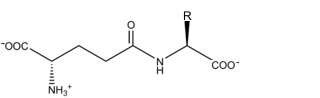 fórmula estructural de un gamma-glutamil-aminoácido genérico