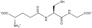 fórmula estructural del glutatión, o gamma-glutamil-cisteinil-glicina