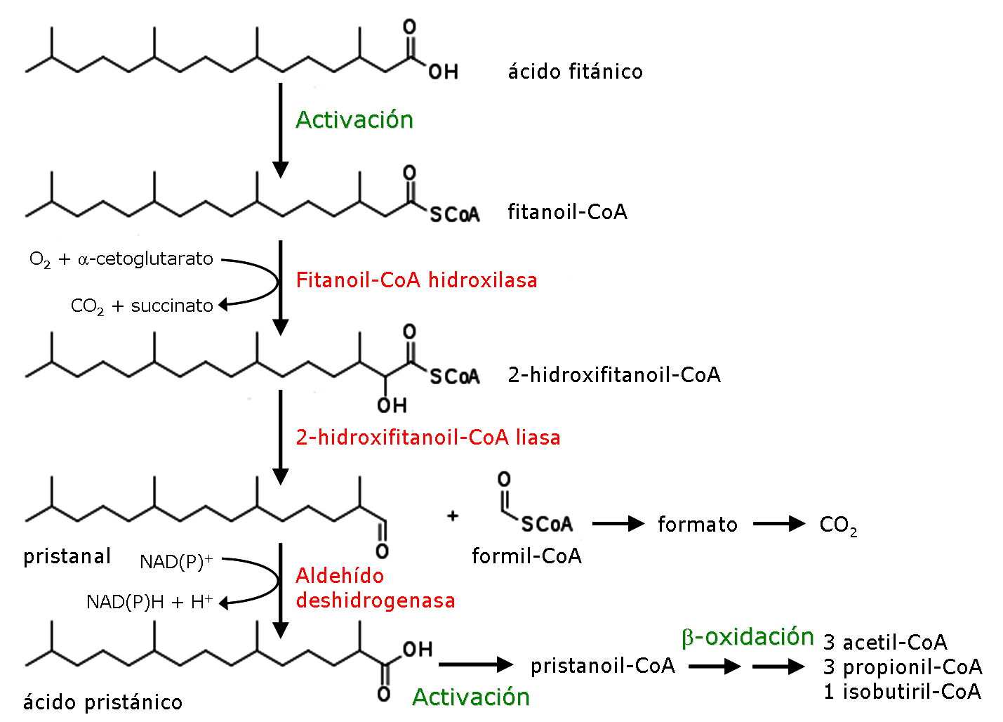 Alfa oxidacin