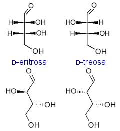 fórmulas estructurales con cuñas y en zig-zag para D-eritrosa y D-treosa